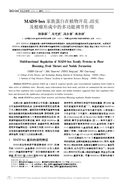 MADS_box家族蛋白在植物开花_结实及根瘤形成中的多功能调节作用