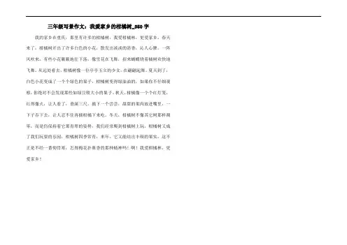 三年级写景作文：我爱家乡的柑橘树_350字