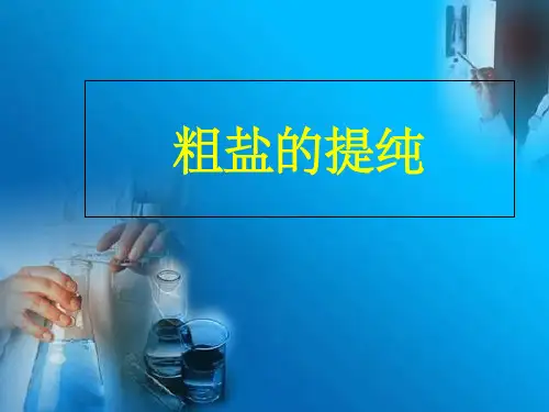 初中化学实验-粗盐提纯ppt课件