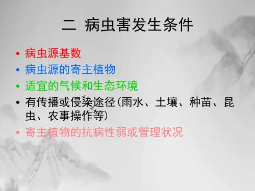 香蕉病虫害防治技术课件PPT