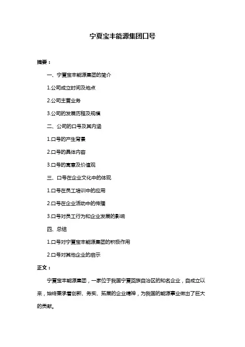 宁夏宝丰能源集团口号