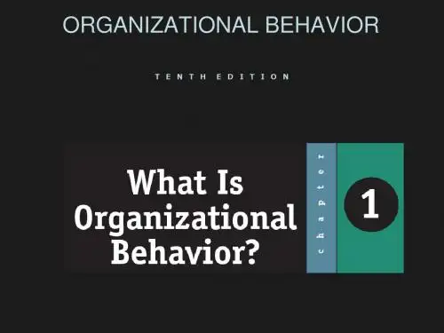 组织行为学简介 organizational behaviour