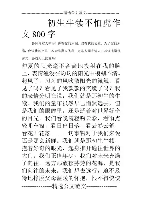 初生牛犊不怕虎作文800字