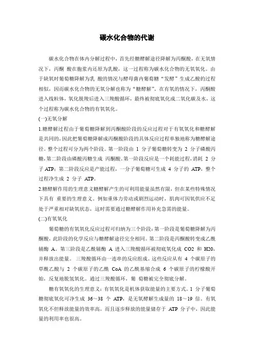 碳水化合物的代谢