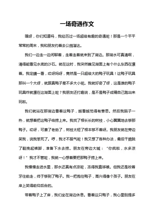 一场奇遇作文