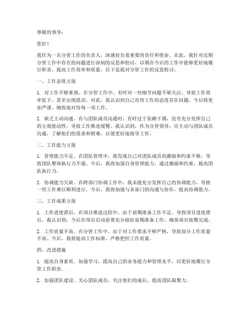 分管工作反思检讨书