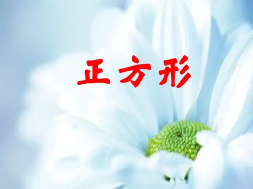 矩形、菱形与正方形的性质PPT教学课件