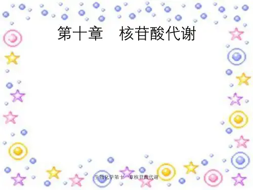 生物化学第十一章核苷酸代谢