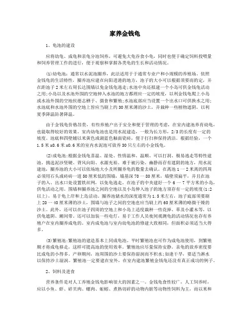 家养金钱龟