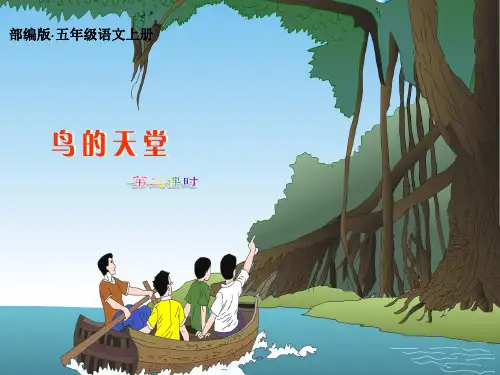 新部编版小学五年级语文上册 22《鸟的天堂》PPT!优教公开课课件(第一课时)