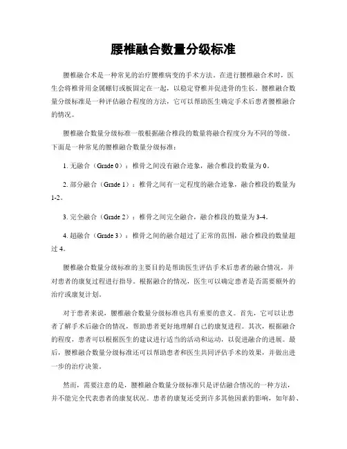 腰椎融合数量分级标准