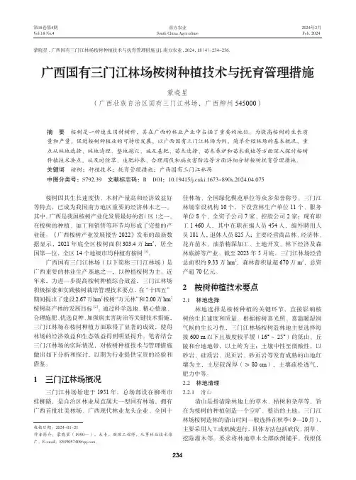 广西国有三门江林场桉树种植技术与抚育管理措施