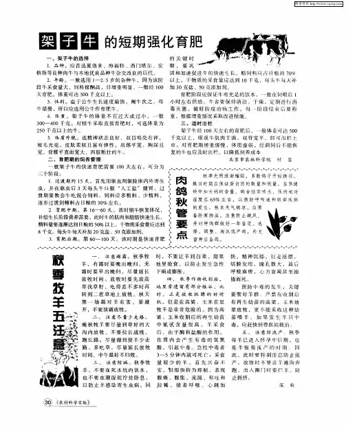架子牛的短期强化育肥