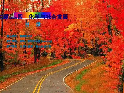 中考化学复习方案 主题四 化学与社会发展课件 