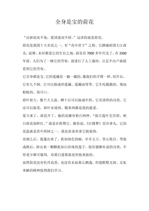 六年级状物全身是宝的荷花