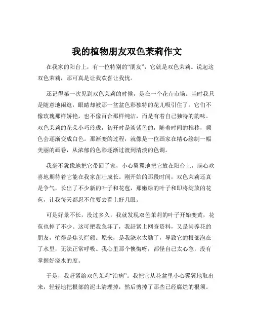 我的植物朋友双色茉莉作文