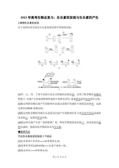 生长素的发现与生长素的产生