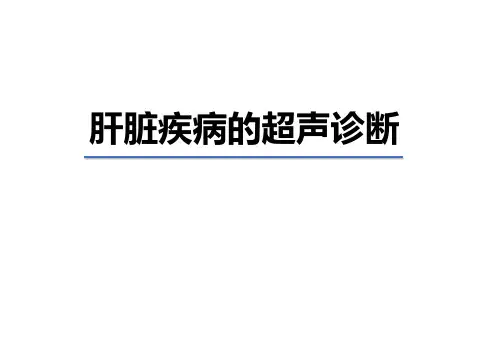医学影像学：肝脏疾病的超声诊断