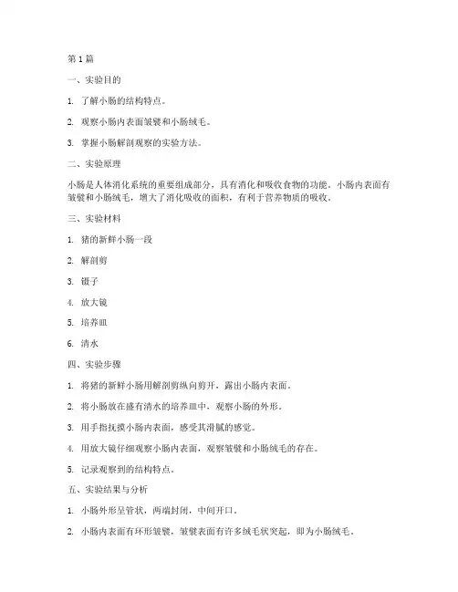 小肠解剖观察实验报告(3篇)