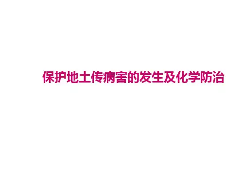保护地土传病害PPT课件