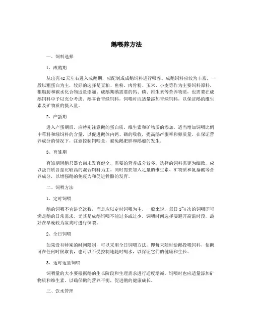 鹅喂养方法