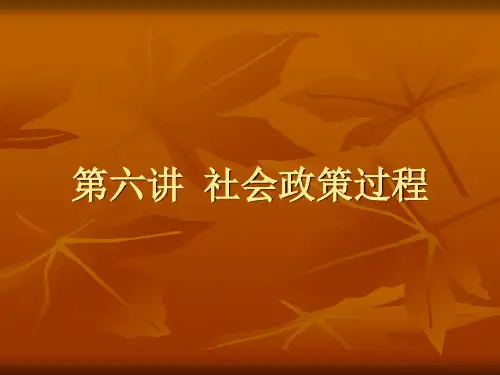 社会政策--第六讲：社会政策过程