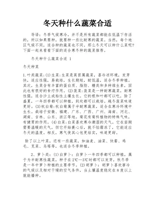 冬天种什么蔬菜合适