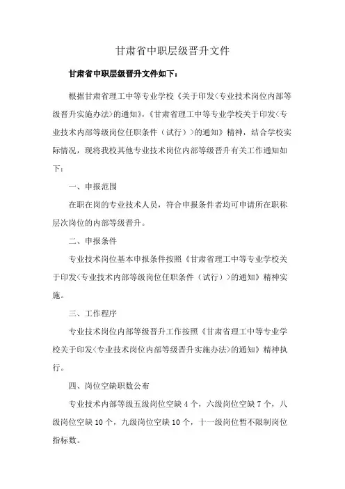 甘肃省中职层级晋升文件