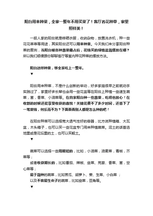 阳台用来种菜，全家一整年不用买菜了！客厅养花种草，家里照样美！