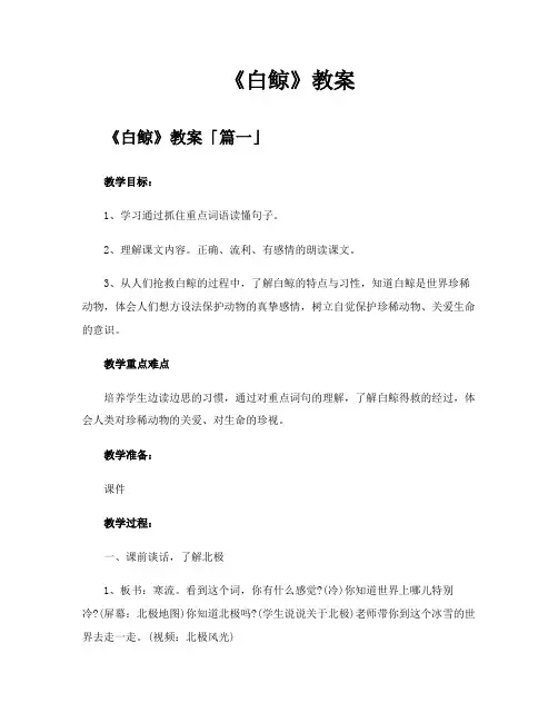 《白鲸》教案精选十一篇