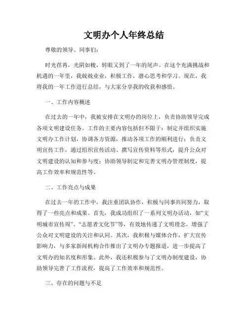 文明办个人年终总结