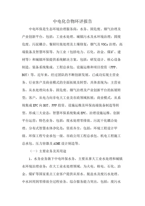 中电化合物环评报告