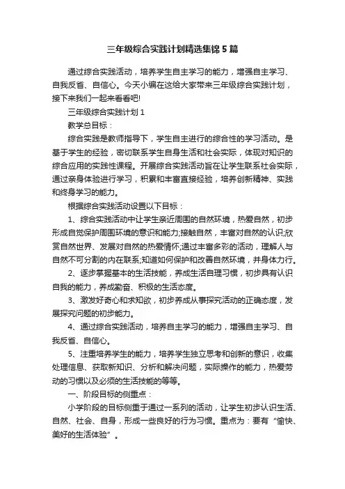 三年级综合实践计划精选集锦5篇