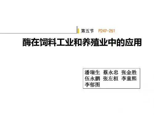 酶制剂(1)