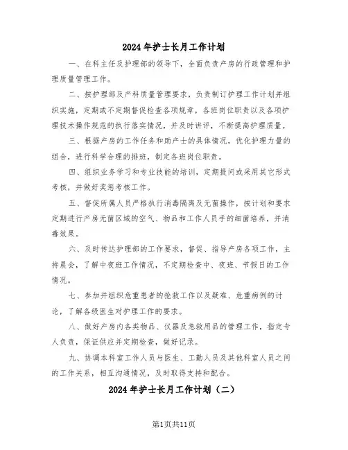 2024年护士长月工作计划（五篇）
