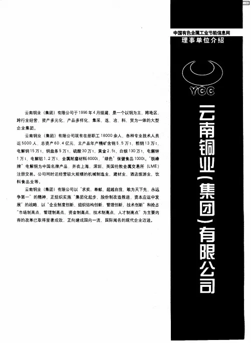 云南铜业(集团)有限公司
