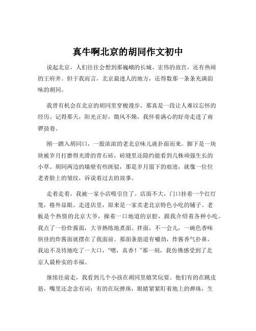 真牛啊北京的胡同作文初中
