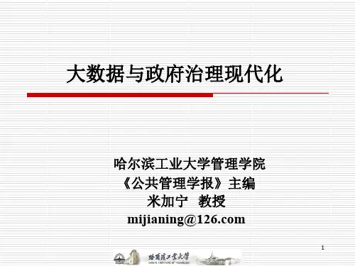 大数据与政府治理现代化ppt课件