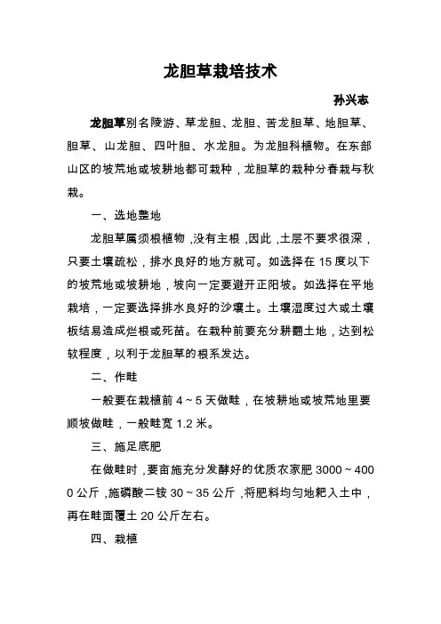 龙胆草栽培技术