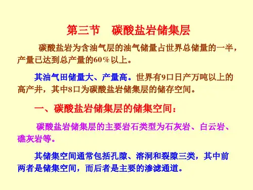 10 第三章-3-碳酸岩储层