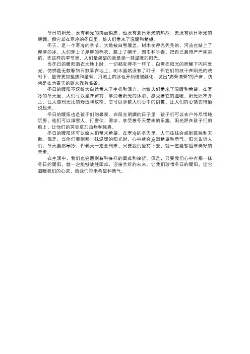 冬日的暖阳