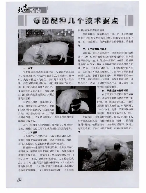 母猪配种几个技术要点