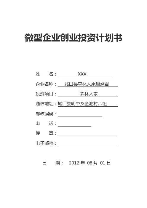 微型企业创业投资计划书模版