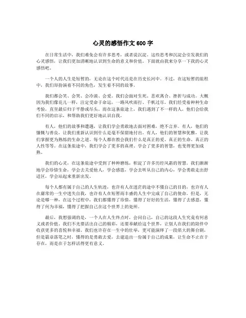 心灵的感悟作文600字