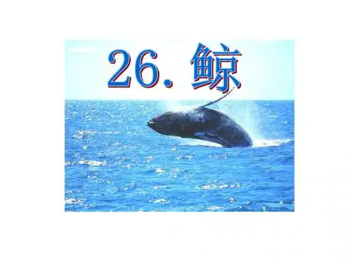 最新语文S版小学四年级下册语文 第26课《鲸》课件