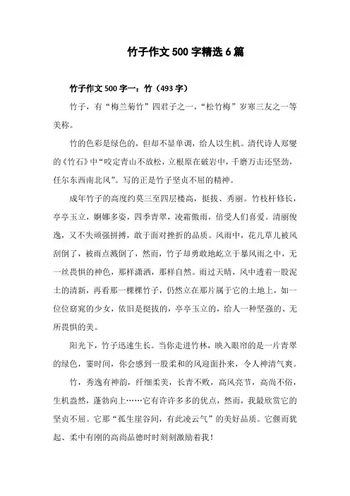 竹子作文500字精选6篇