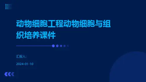 动物细胞工程动物细胞与组织培养课件