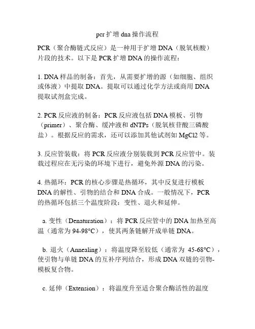pcr扩增dna操作流程