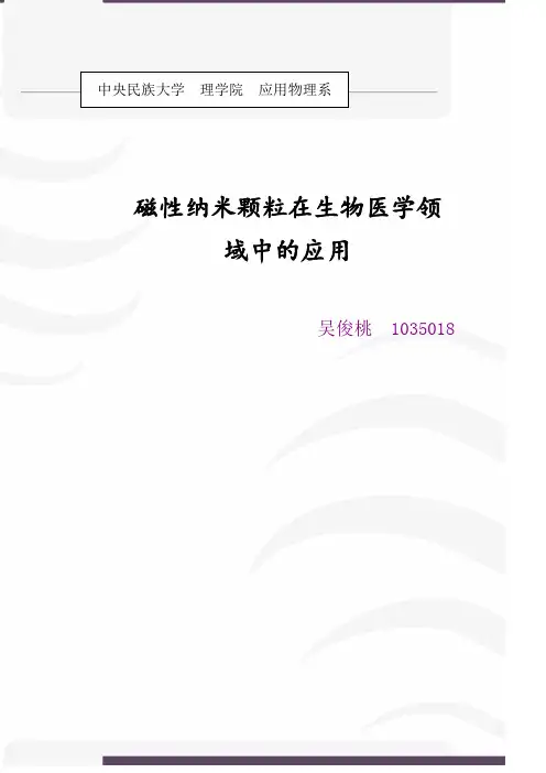 磁性纳米颗粒在生物医学领域中的应用 2