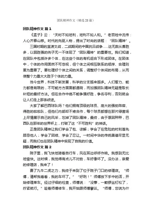 团队精神作文（精选28篇）